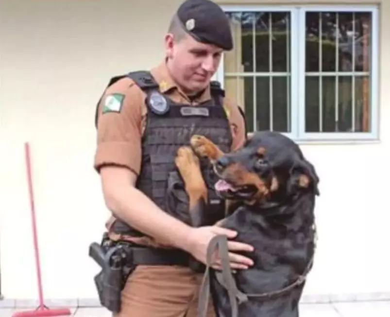 Policial militar natural de Pato Branco morre após capotamento de viatura na PR-323